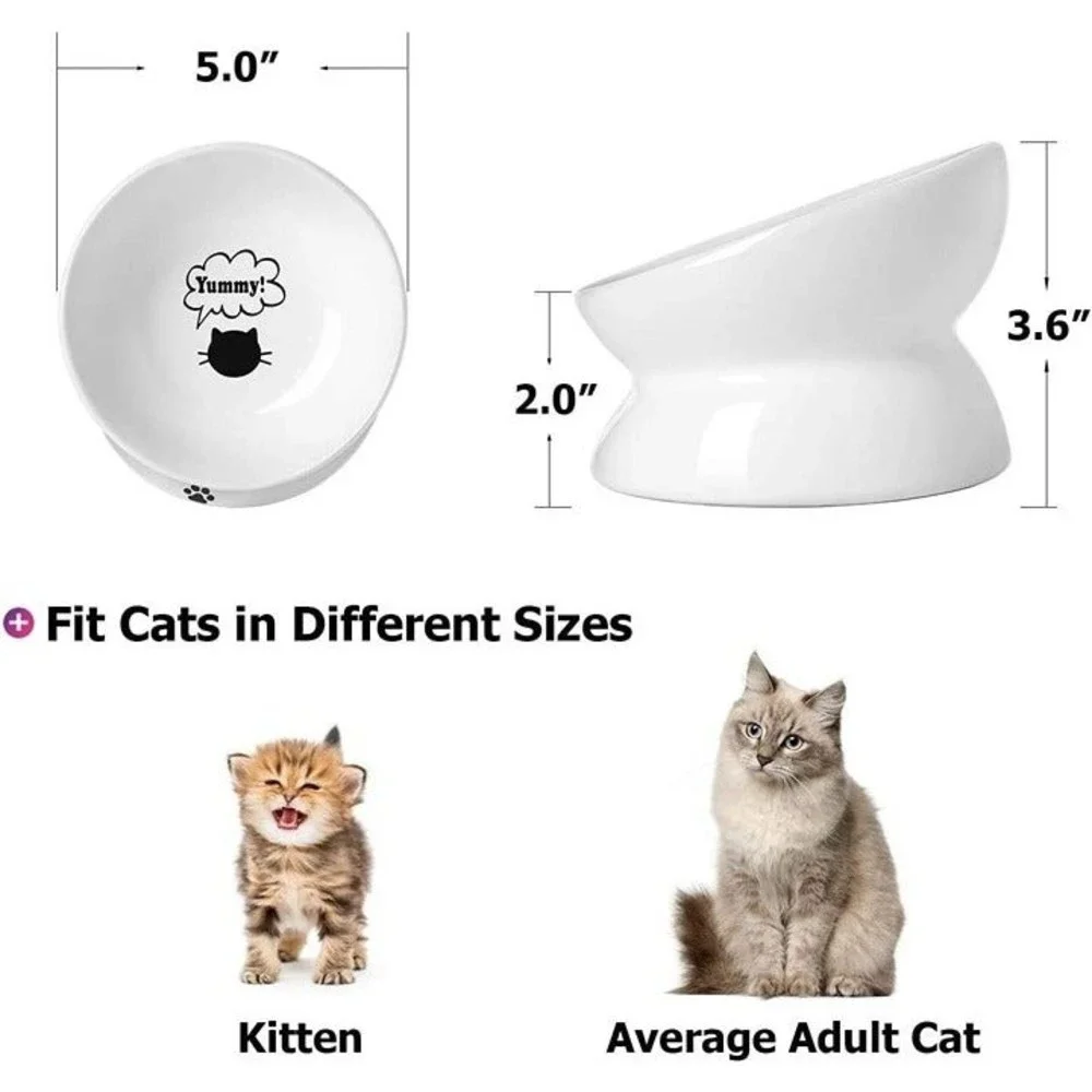 Cat Bowl Anti Vomiting, Raised Cat Food Bowls, Tilted Elevated Cat Bowl